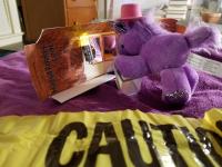 /home//u458753944/public_html/sourcegallery//////////contributed/Emergency Kits/julies_unicorn.jpg